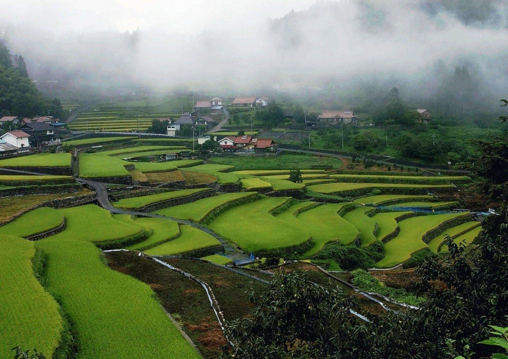 🏞️ 이니 계단식 논(이니노타나다) 이미지 6